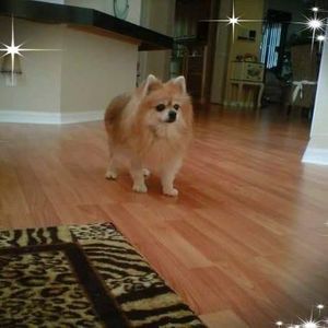 Meet your Posher, Valerie